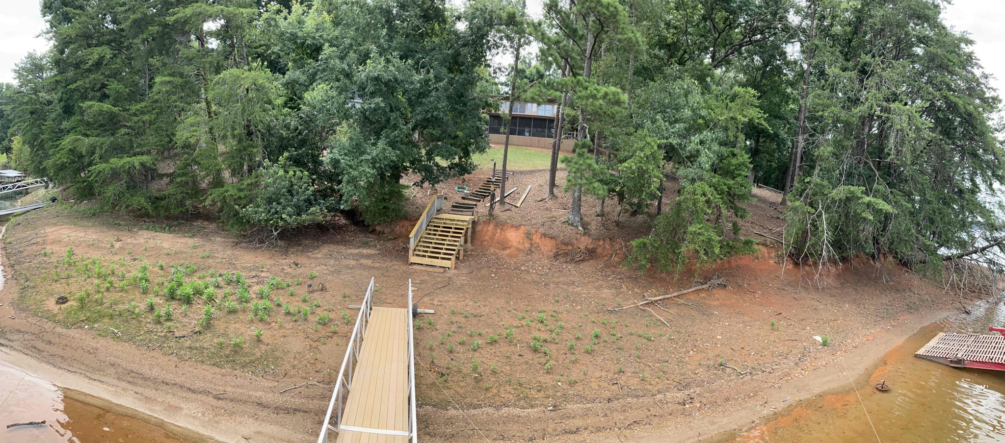 Eroding shoreline bank with brush and marked trees before residential rip rap on Lake Lanier